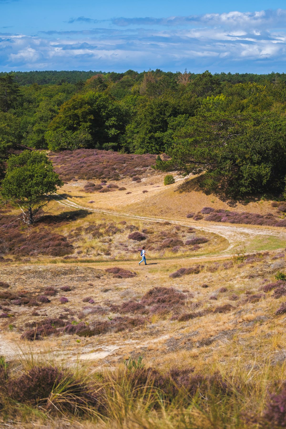 Wandelen